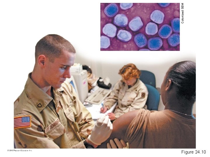 Figure 24. 10 Colorized SEM 