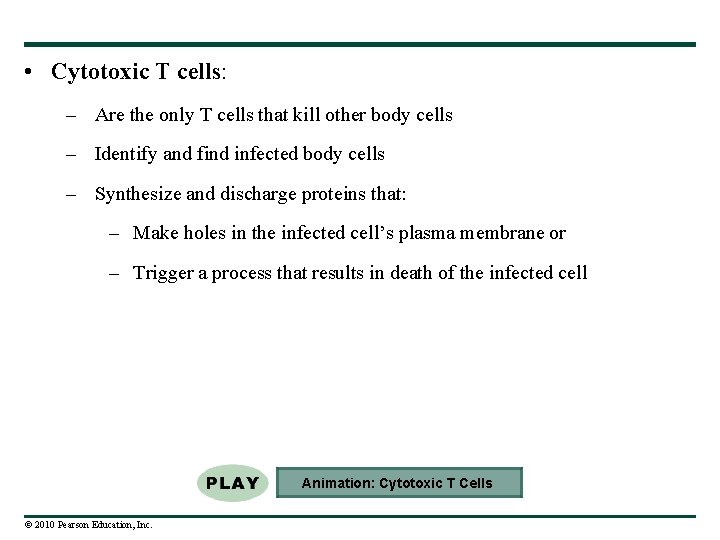  • Cytotoxic T cells: – Are the only T cells that kill other