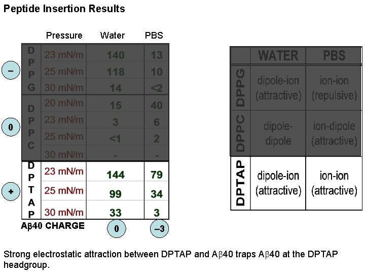Peptide Insertion Results Pressure Water PBS – 0 + Ab 40 CHARGE 0 –