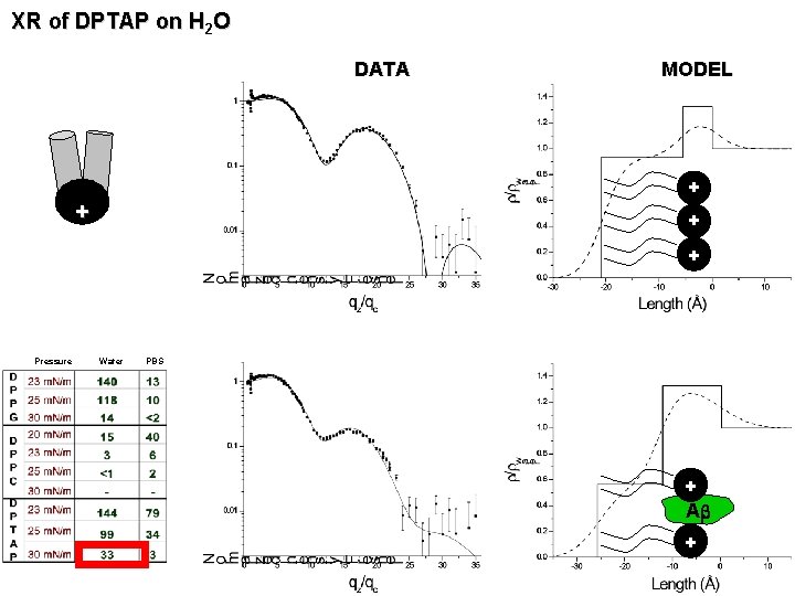 XR of DPTAP on H 2 O DATA MODEL + + Pressure Water PBS