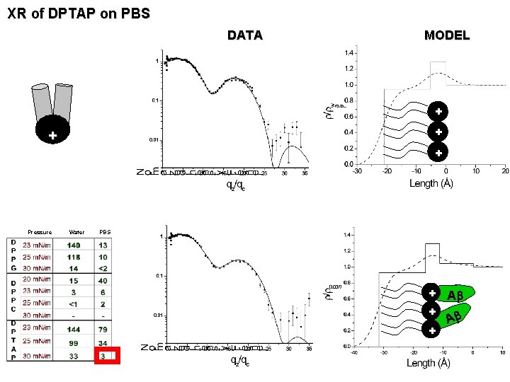 XR of DPTAP on PBS DATA MODEL + + Pressure Water PBS + Ab