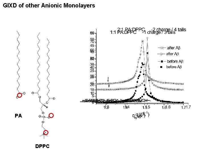 GIXD of other Anionic Monolayers PA DPPC 