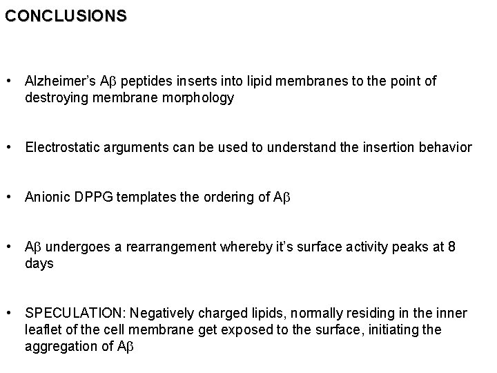 CONCLUSIONS • Alzheimer’s Ab peptides inserts into lipid membranes to the point of destroying