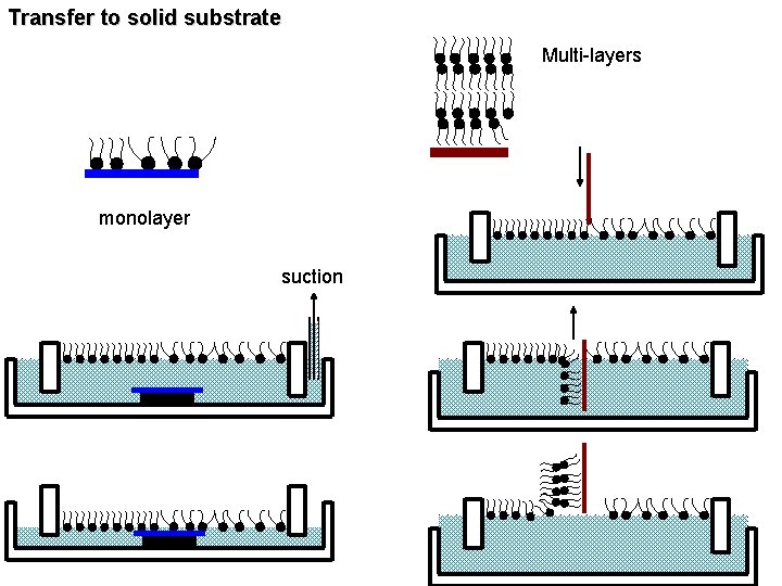 Transfer to solid substrate Multi-layers monolayer suction 