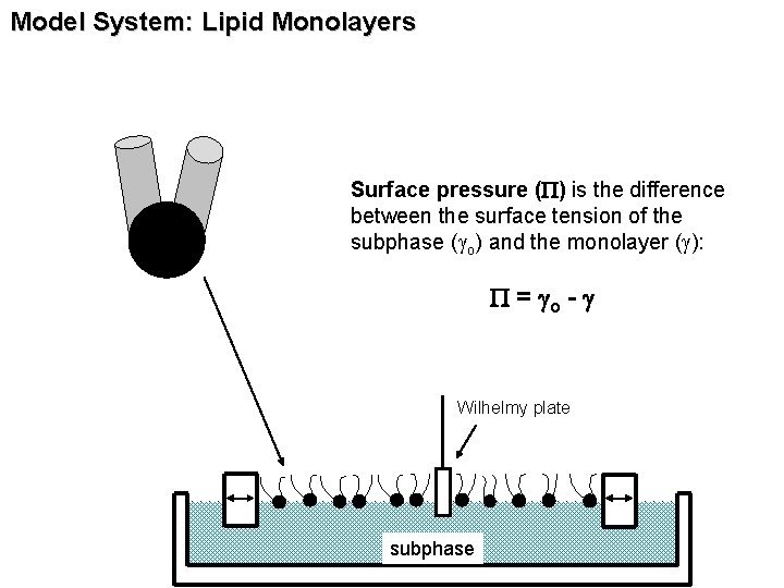 Model System: Lipid Monolayers Surface pressure (P) is the difference between the surface tension