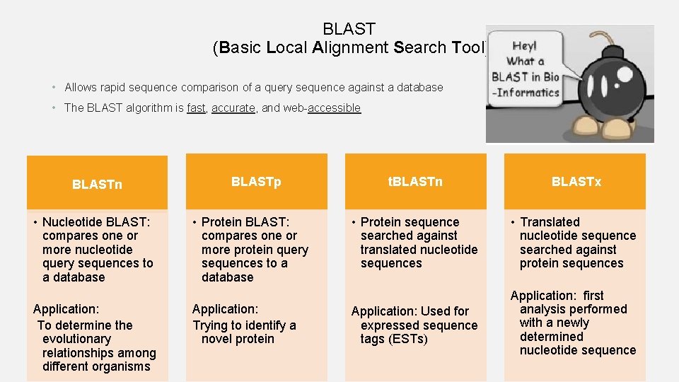 BLAST (Basic Local Alignment Search Tool) • Allows rapid sequence comparison of a query BLAST (Basic Local Alignment Search Tool) • Allows rapid sequence comparison of a query