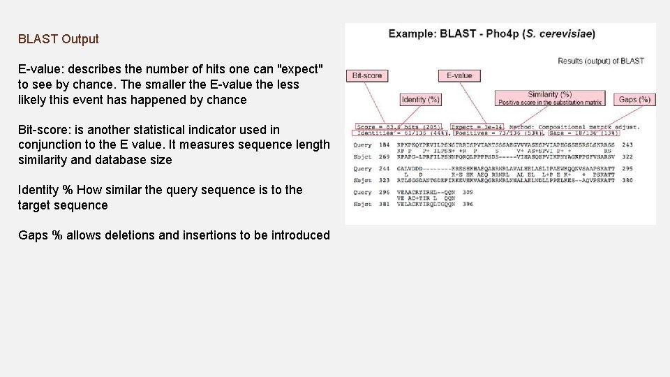 BLAST Output E-value: describes the number of hits one can "expect" to see by BLAST Output E-value: describes the number of hits one can "expect" to see by