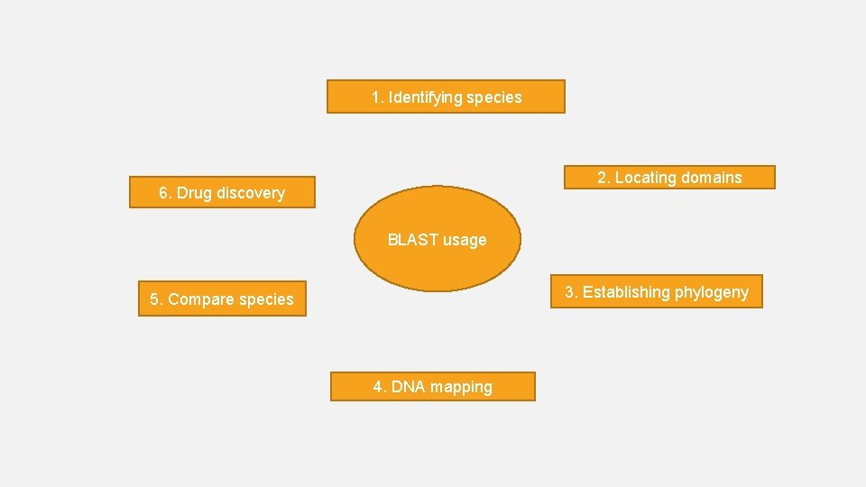 1. Identifying species 2. Locating domains 6. Drug discovery BLAST usage 3. Establishing phylogeny 1. Identifying species 2. Locating domains 6. Drug discovery BLAST usage 3. Establishing phylogeny