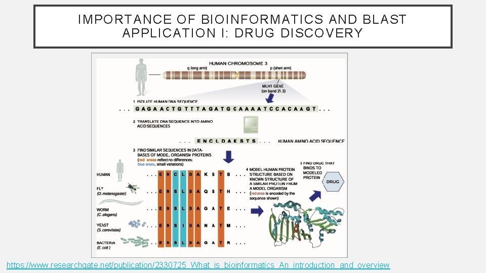 IMPORTANCE OF BIOINFORMATICS AND BLAST APPLICATION I: DRUG DISCOVERY https: //www. researchgate. net/publication/2330725_What_is_bioinformatics_An_introduction_and_overview IMPORTANCE OF BIOINFORMATICS AND BLAST APPLICATION I: DRUG DISCOVERY https: //www. researchgate. net/publication/2330725_What_is_bioinformatics_An_introduction_and_overview