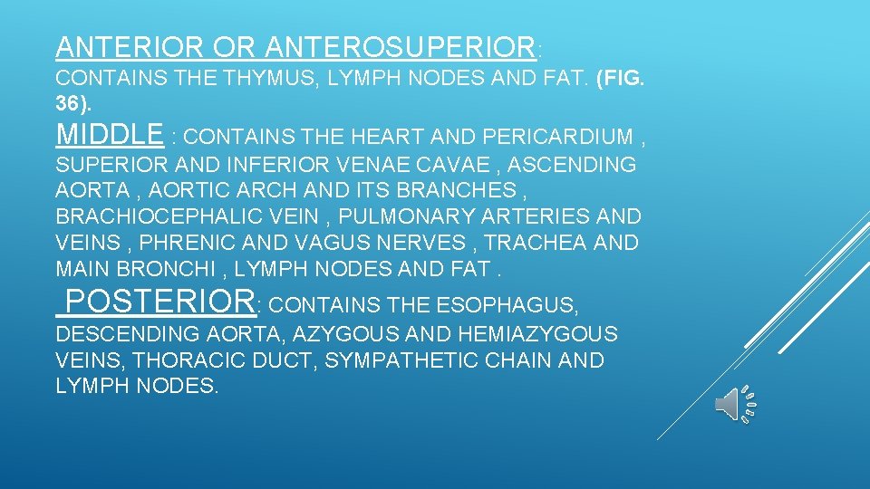 ANTERIOR OR ANTEROSUPERIOR: CONTAINS THE THYMUS, LYMPH NODES AND FAT. (FIG. 36). MIDDLE :