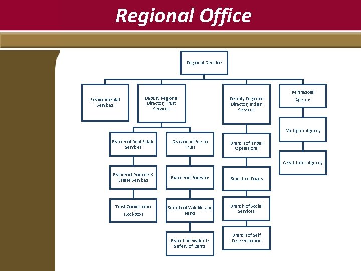 Regional Office Regional Director Environmental Services Deputy Regional Director, Trust Services Deputy Regional Director,