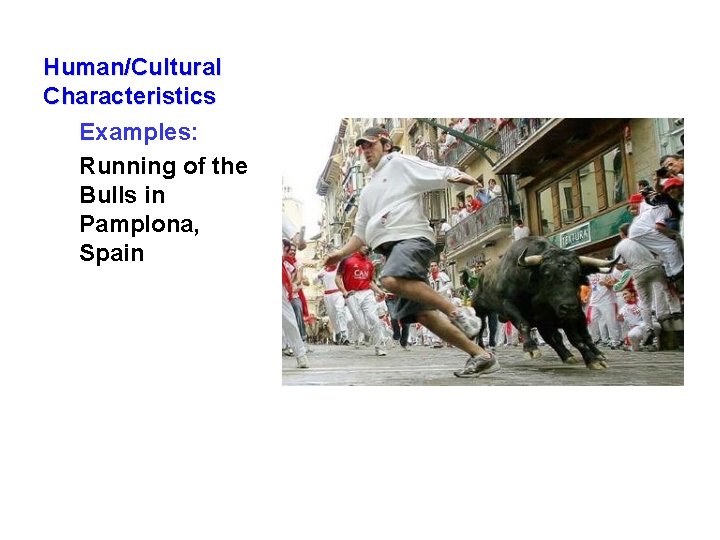 Human/Cultural Characteristics Examples: Running of the Bulls in Pamplona, Spain 