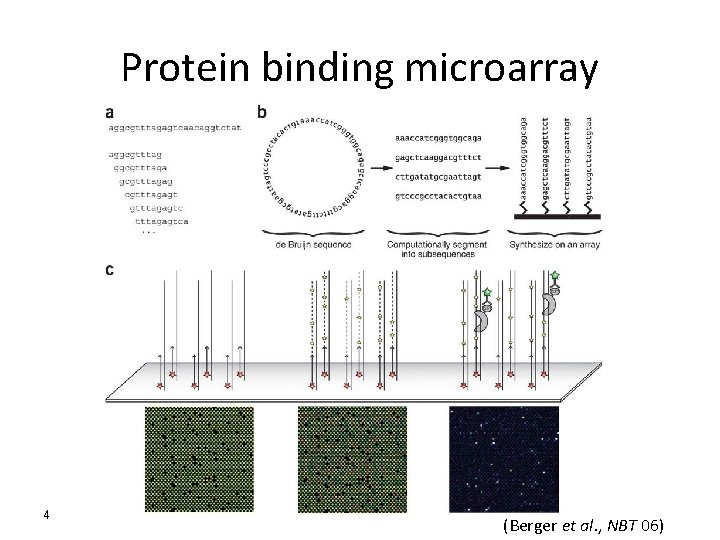 Protein binding microarray 4 (Berger et al. , NBT 06) 