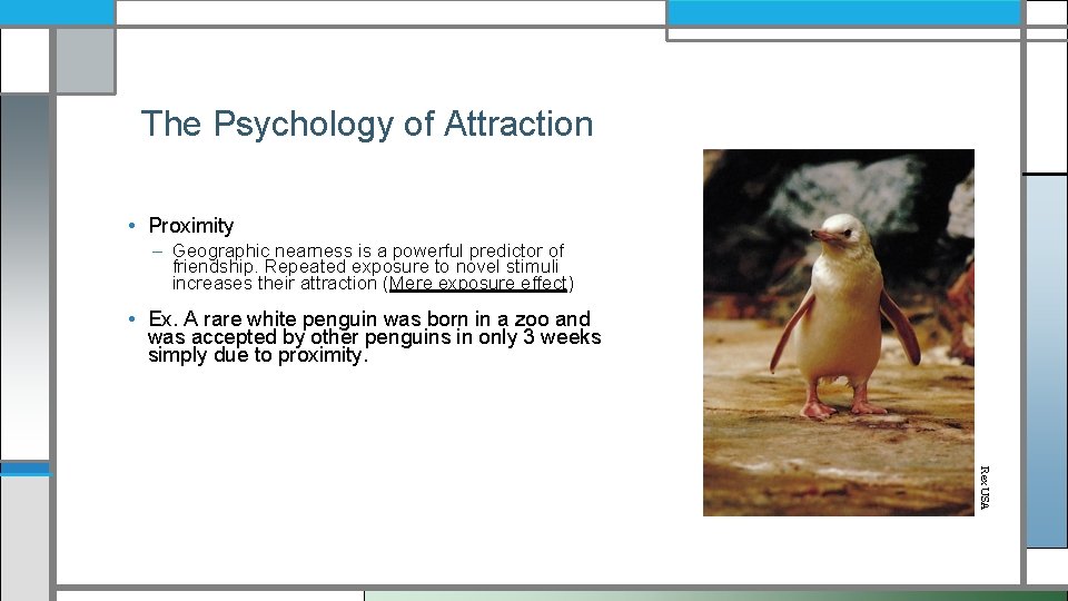 The Psychology of Attraction • Proximity – Geographic nearness is a powerful predictor of