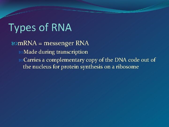 Types of RNA m. RNA = messenger RNA Made during transcription Carries a complementary