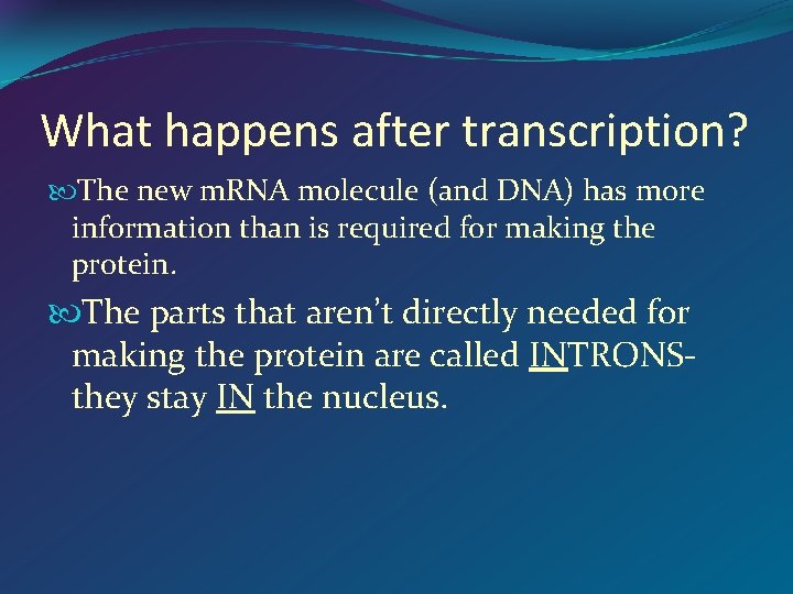 What happens after transcription? The new m. RNA molecule (and DNA) has more information
