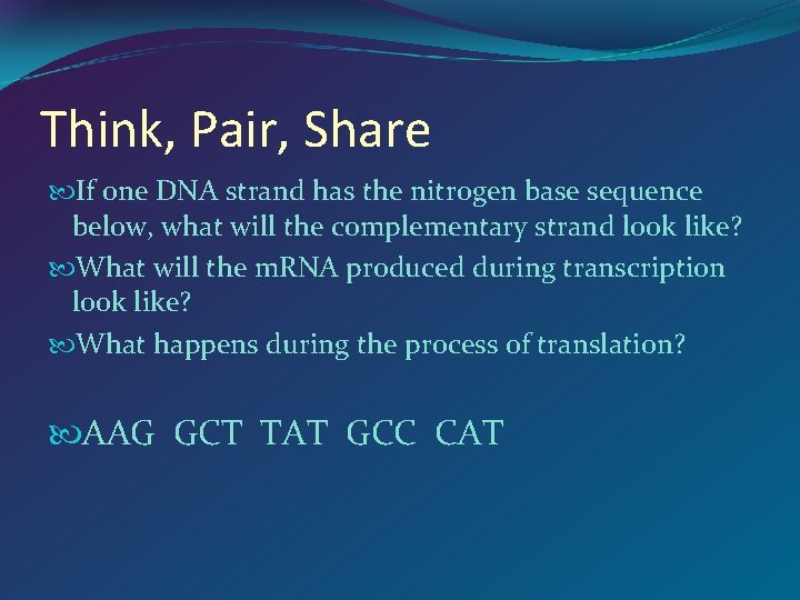 Think, Pair, Share If one DNA strand has the nitrogen base sequence below, what