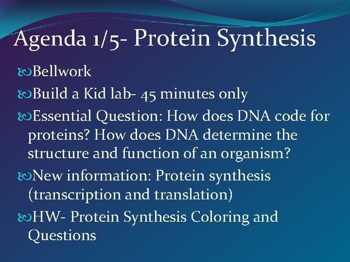 Agenda 1/5 - Protein Synthesis Bellwork Build a Kid lab- 45 minutes only Essential