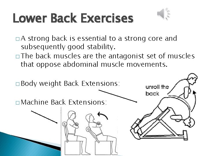 Lower Back Exercises �A strong back is essential to a strong core and subsequently