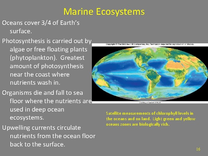 Marine Ecosystems Oceans cover 3/4 of Earth’s surface. Photosynthesis is carried out by algae