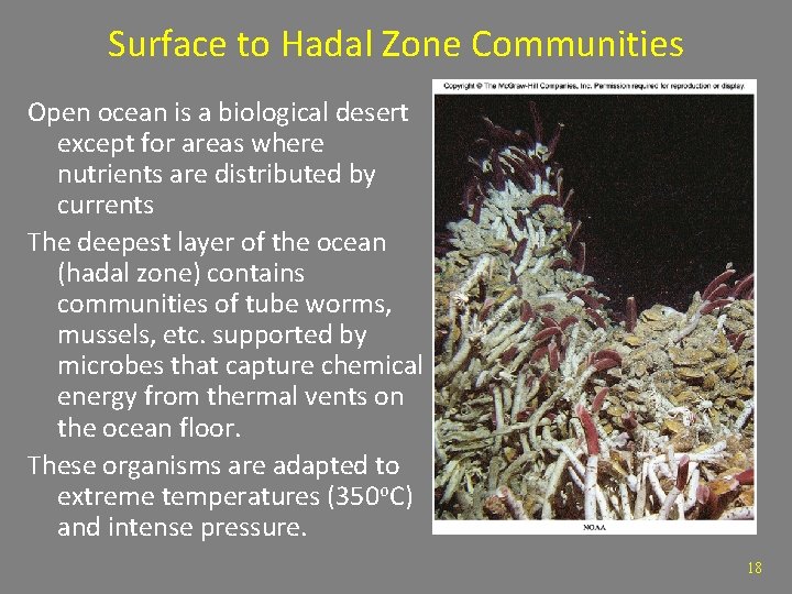 Surface to Hadal Zone Communities Open ocean is a biological desert except for areas