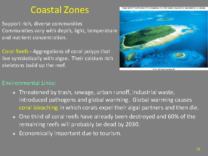 Coastal Zones Support rich, diverse communities Communities vary with depth, light, temperature and nutrient