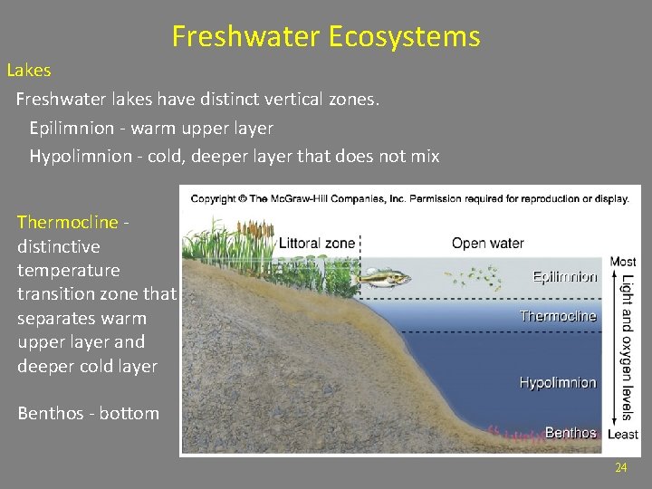 Freshwater Ecosystems Lakes Freshwater lakes have distinct vertical zones. Epilimnion - warm upper layer