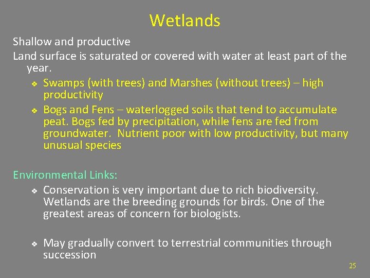 Wetlands Shallow and productive Land surface is saturated or covered with water at least