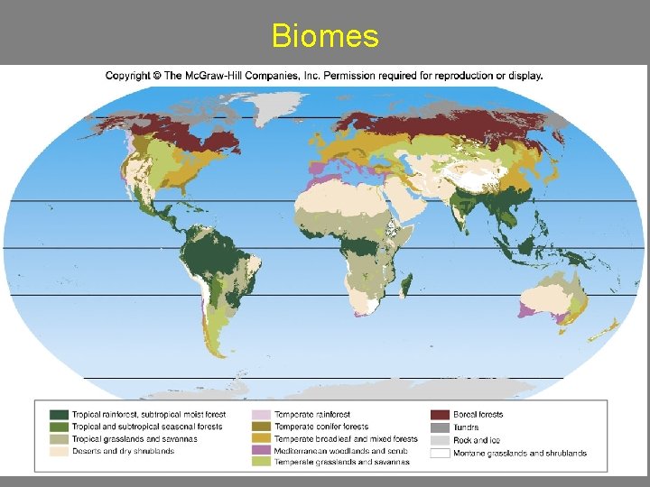 Biomes 4 