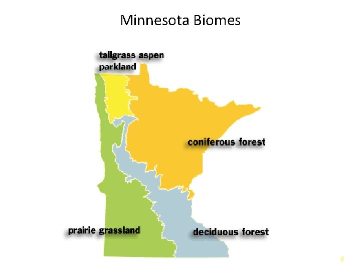 Minnesota Biomes 6 