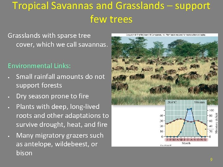 Tropical Savannas and Grasslands – support few trees Grasslands with sparse tree cover, which
