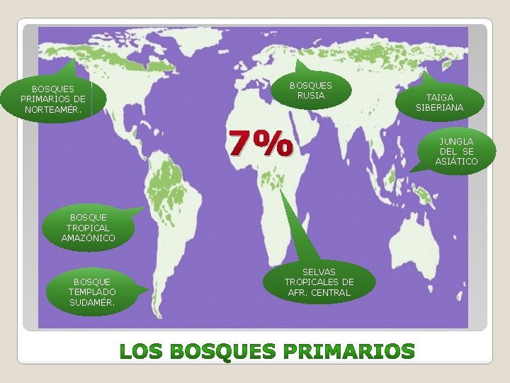 BOSQUES PRIMARIOS DE NORTEAMÉR. BOSQUES RUSIA 7% BOSQUE TROPICAL AMAZÓNICO BOSQUE TEMPLADO SUDAMÉR. SELVAS