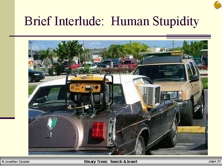 Brief Interlude: Human Stupidity © Jonathan Cazalas Binary Trees: Search & Insert page 20 Brief Interlude: Human Stupidity © Jonathan Cazalas Binary Trees: Search & Insert page 20