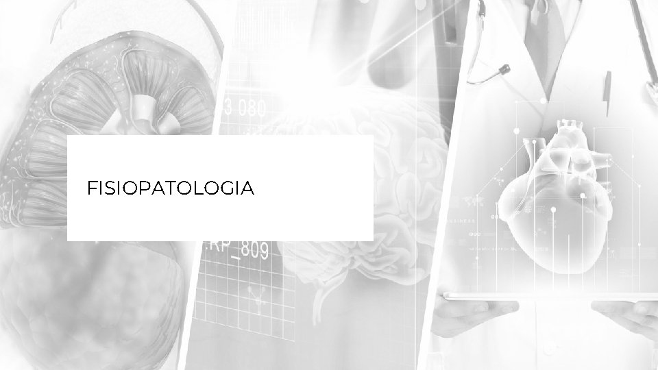 FISIOPATOLOGIA 