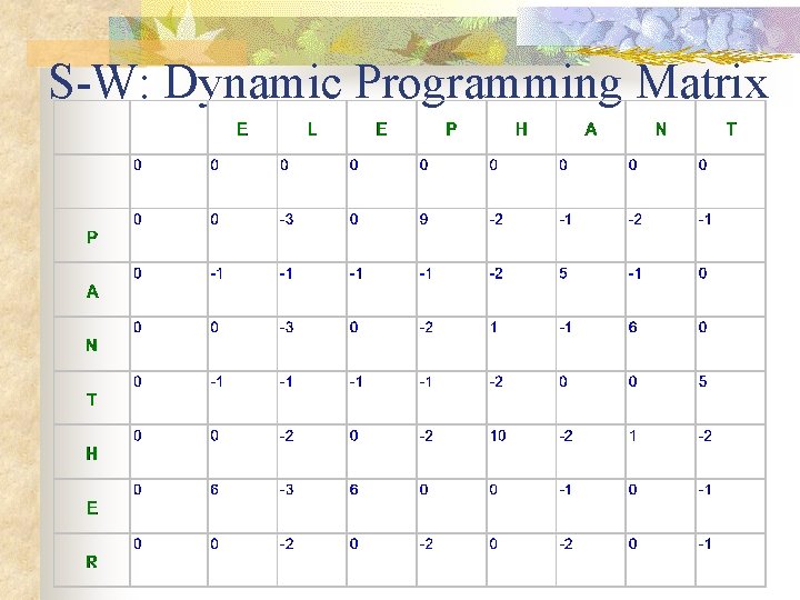 S-W: Dynamic Programming Matrix S-W: Dynamic Programming Matrix