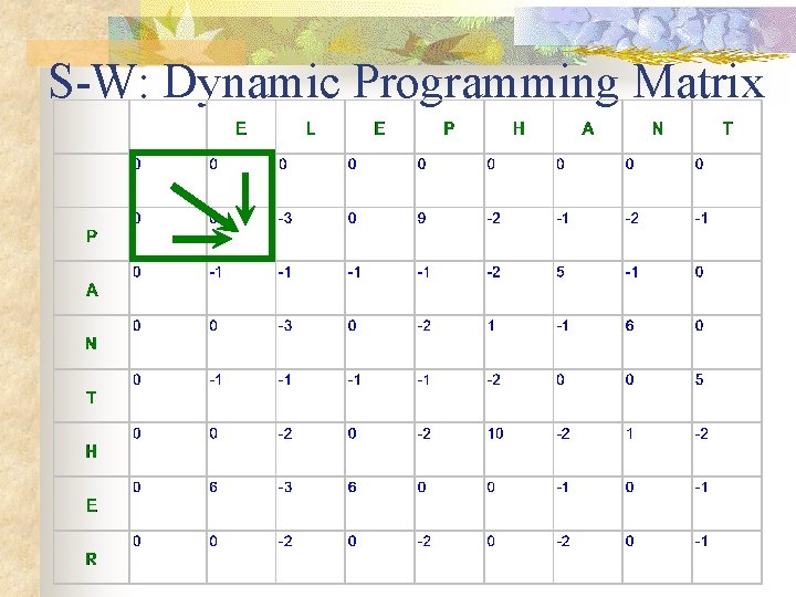 S-W: Dynamic Programming Matrix S-W: Dynamic Programming Matrix