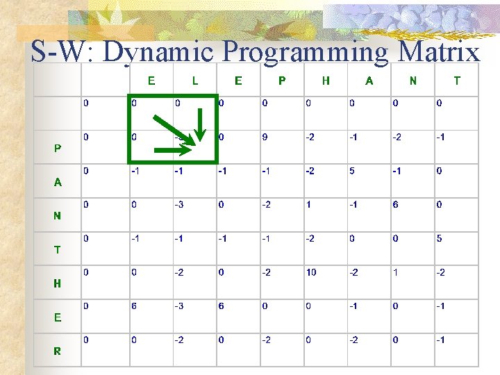 S-W: Dynamic Programming Matrix S-W: Dynamic Programming Matrix