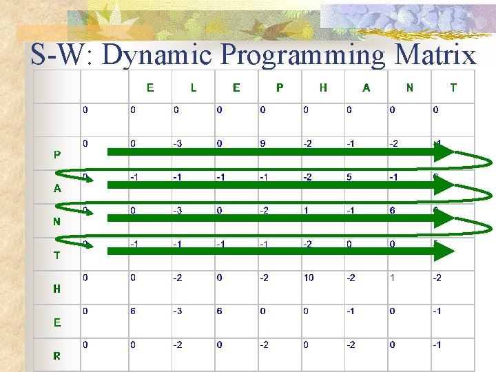 S-W: Dynamic Programming Matrix S-W: Dynamic Programming Matrix