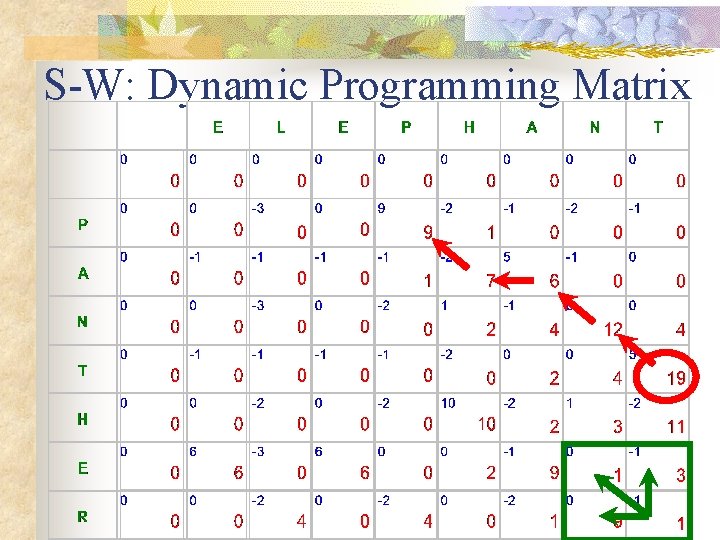 S-W: Dynamic Programming Matrix S-W: Dynamic Programming Matrix