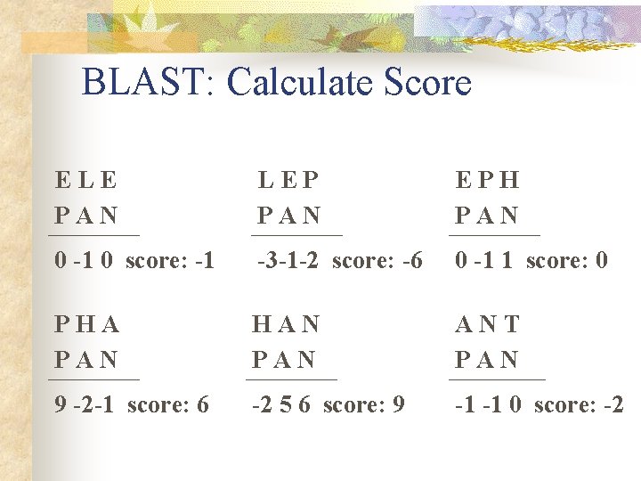 BLAST: Calculate Score ELE PAN LEP PAN EPH PAN 0 -1 0 score: -1 BLAST: Calculate Score ELE PAN LEP PAN EPH PAN 0 -1 0 score: -1