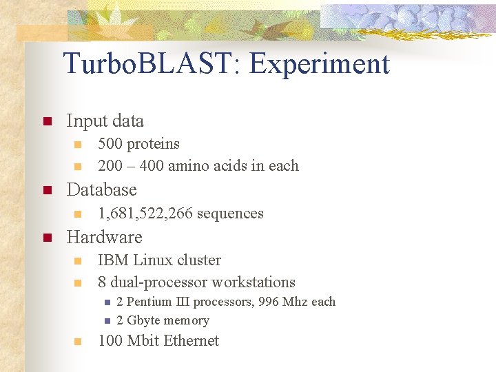 Turbo. BLAST: Experiment n Input data n n n Database n n 500 proteins Turbo. BLAST: Experiment n Input data n n n Database n n 500 proteins