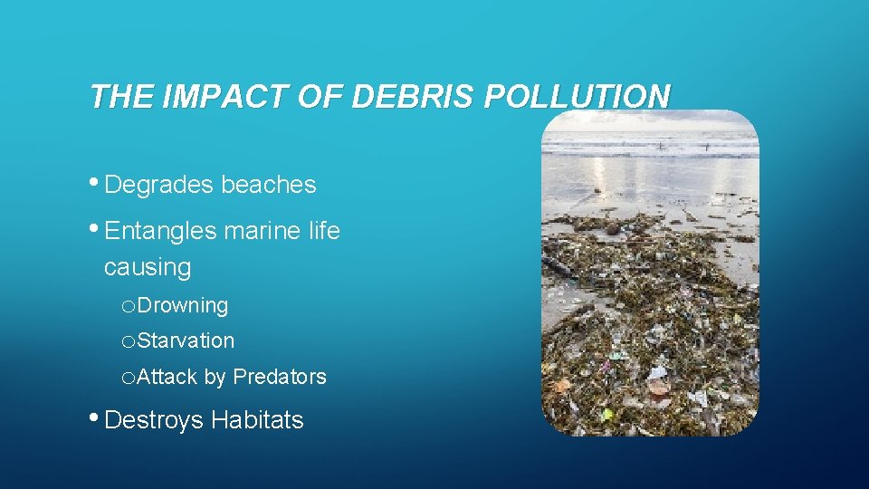 THE IMPACT OF DEBRIS POLLUTION • Degrades beaches • Entangles marine life causing o.