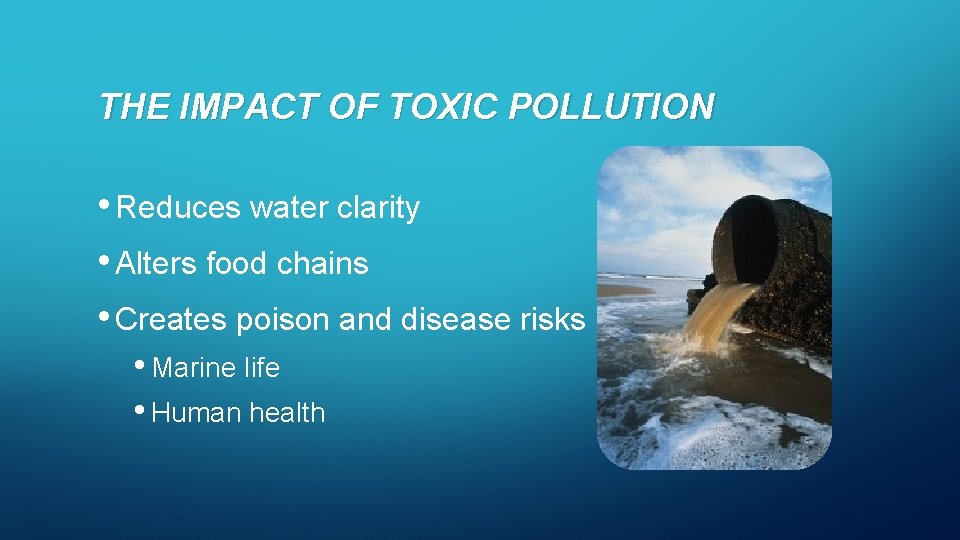 THE IMPACT OF TOXIC POLLUTION • Reduces water clarity • Alters food chains •