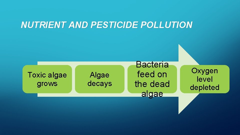 NUTRIENT AND PESTICIDE POLLUTION Toxic algae grows Algae decays Bacteria feed on the dead