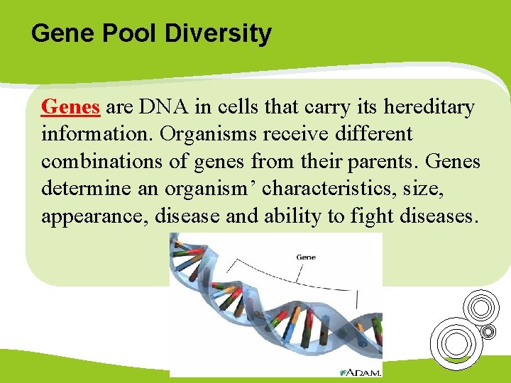 Gene Pool Diversity Genes are DNA in cells that carry its hereditary information. Organisms