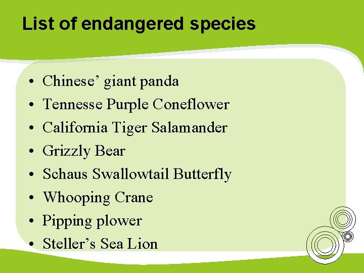 List of endangered species • • Chinese’ giant panda Tennesse Purple Coneflower California Tiger