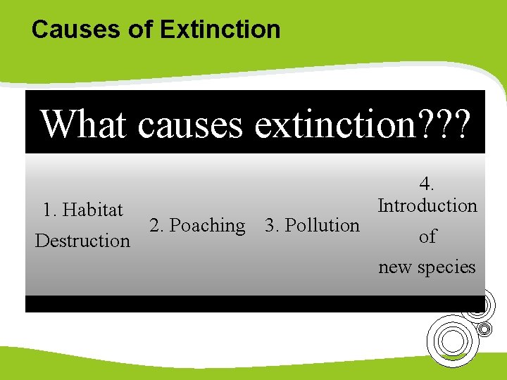Causes of Extinction What causes extinction? ? ? 4. Introduction 1. Habitat 2. Poaching