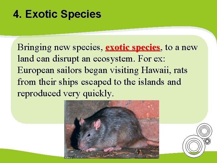 4. Exotic Species Bringing new species, exotic species, to a new land can disrupt