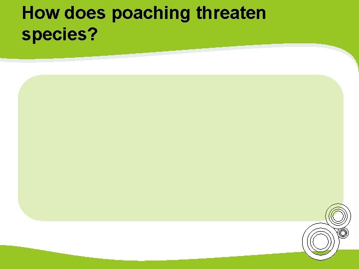 How does poaching threaten species? 