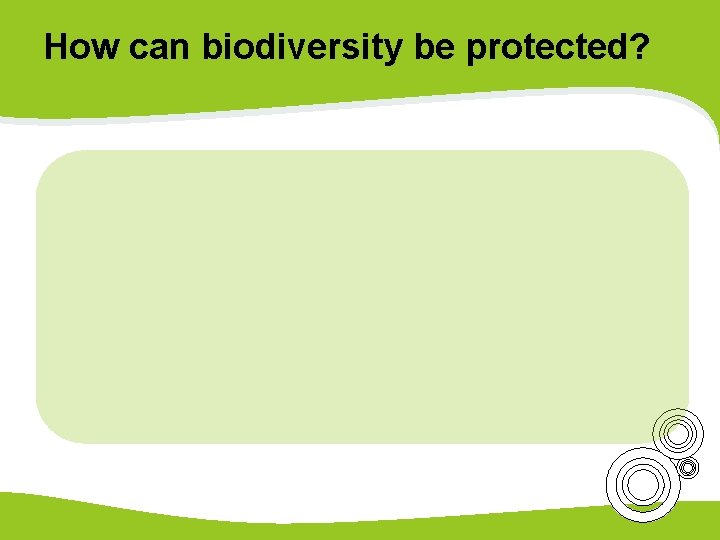 How can biodiversity be protected? 